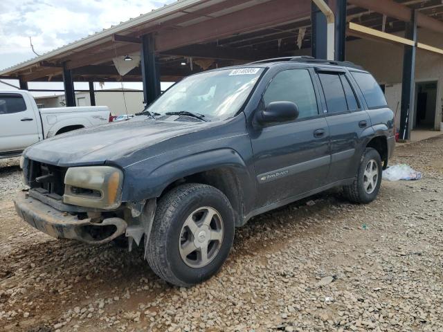 CHEVROLET TRAILBLAZE 2004 with VIN 1GNDT13S042371897 - Photo from auction