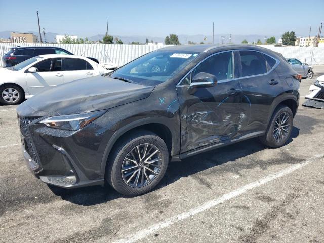 LEXUS NX 350 BAS 2024 with VIN 2T2AGCEZ8RC040544 - Photo from auction