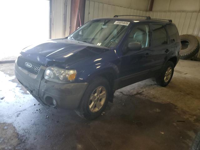 FORD ESCAPE XLT 2005 with VIN 1FMYU03195KD75212 - Photo from auction