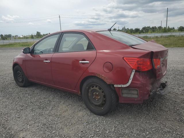 Photo 2 from auction – 2010 KIA FORTE with VIN KNAFU4A21A5088533