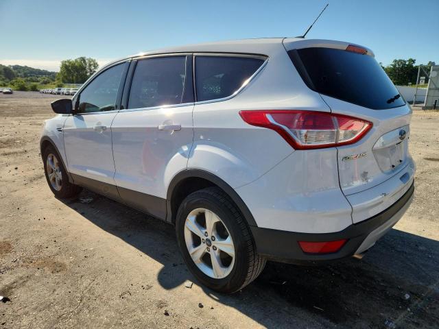 Photo 2 from auction – 2014 FORD ESCAPE SE with VIN 1FMCU0GXXEUC38115