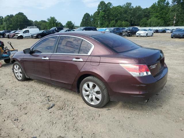 Photo 2 from auction – 2010 HONDA ACCORD EXL with VIN 5KBCP3F85AB011362