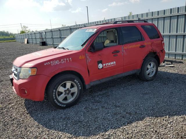 FORD ESCAPE XLT 2010 with VIN 1FMCU9DG6AKC56349 - Photo from auction