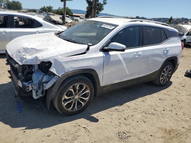 GMC TERRAIN SL 2021 with VIN 3GKALPEV3ML316739 - Photo from auction