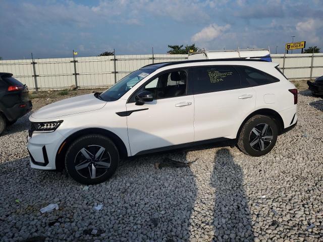 KIA SORENTO S 2023 with VIN 5XYRL4LC3PG214416 - Photo from auction