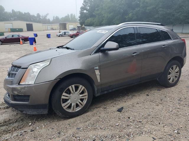 CADILLAC SRX LUXURY 2012 with VIN 3GYFNAE3XCS509847 - Photo from auction