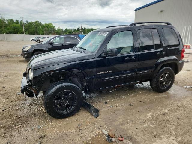 Photo 1 from auction – 2002 JEEP LIBERTY LI with VIN 1J4GL58K42W367809