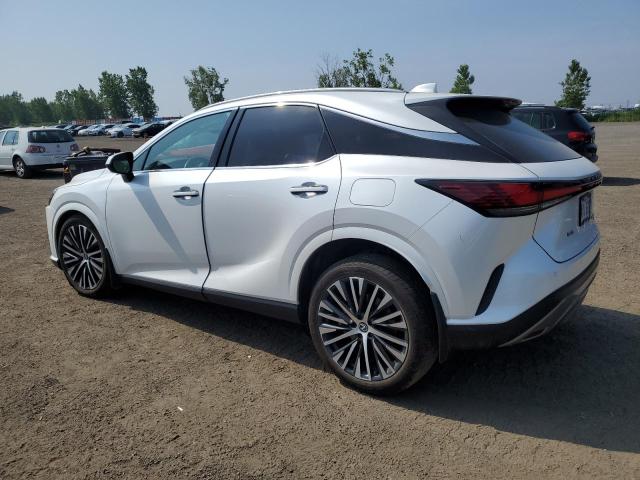 Photo 2 from auction – 2023 LEXUS RX 350H BA with VIN 2T2BBMCA6PC020649