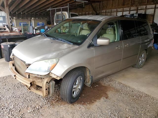 HONDA ODYSSEY EX 2007 with VIN 5FNRL38477B012326 - Photo from auction