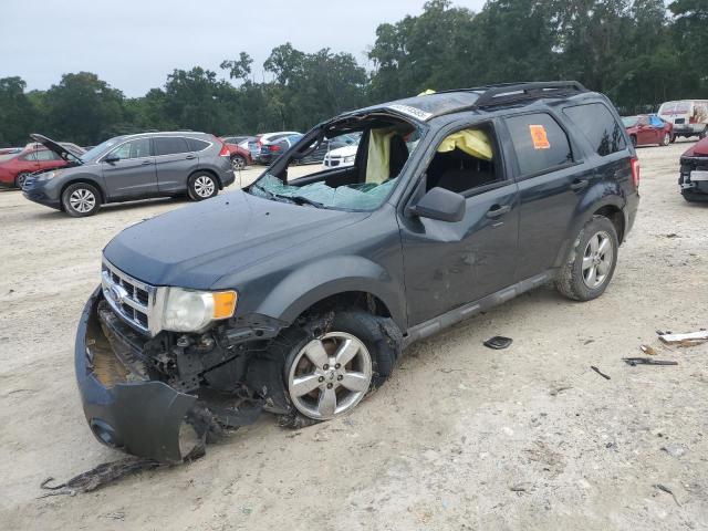 FORD ESCAPE XLT 2009 with VIN 1FMCU03779KD08788 - Photo from auction
