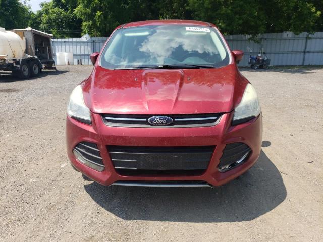 Photo 5 from auction – 2014 FORD ESCAPE with VIN 1FMCU0GX9EUA47883