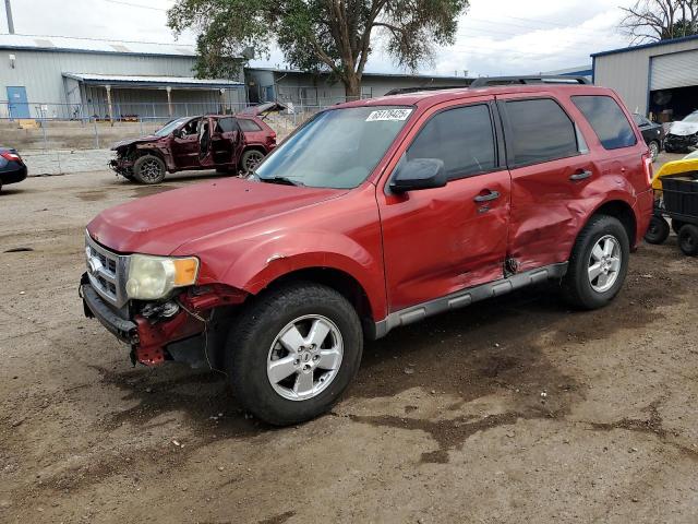 Photo 1 from auction – 2010 FORD ESCAPE XLT with VIN 1FMCU9DG0AKC14257