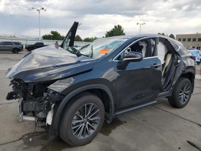 LEXUS NX 250 2023 with VIN 2T2GDCAZ3PC005772 - Photo from auction