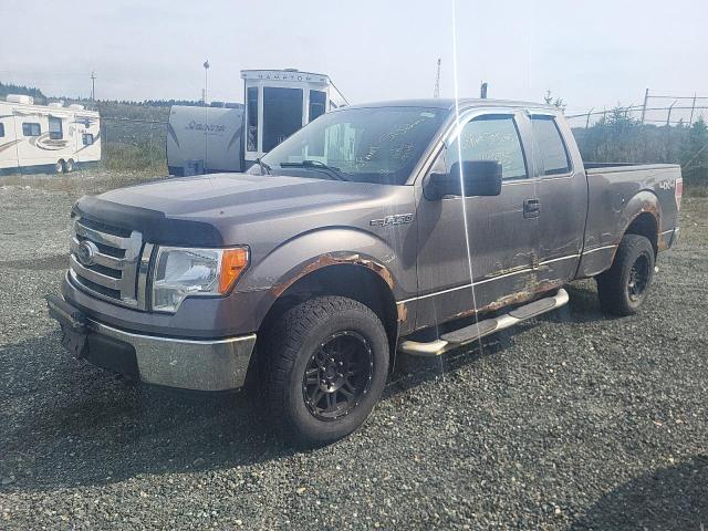 FORD F150 SUPER 2012 with VIN 1FTFX1EF1CFB04393 - Photo from auction