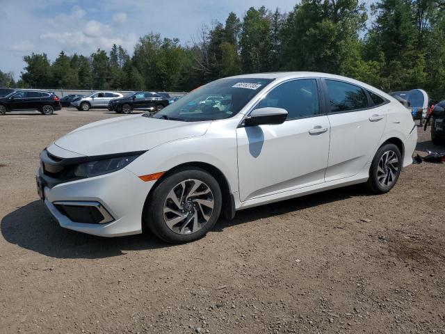 HONDA CIVIC EX 2020 with VIN 2HGFC2F70LH013916 - Photo from auction