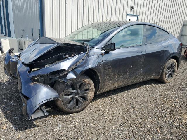 TESLA MODEL Y 2024 with VIN 7SAYGDEE1RA308450 - Photo from auction