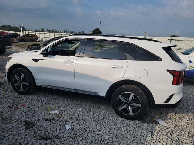 Photo 2 from auction – 2023 KIA SORENTO S with VIN 5XYRL4LC3PG214416