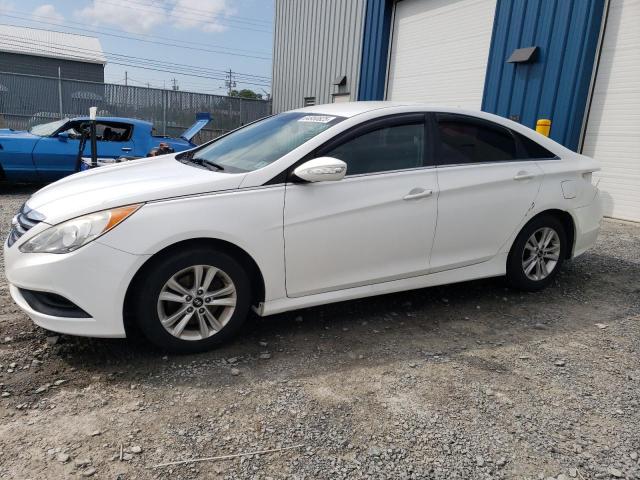 HYUNDAI SONATA GLS 2014 with VIN 5NPEB4AC3EH900871 - Photo from auction
