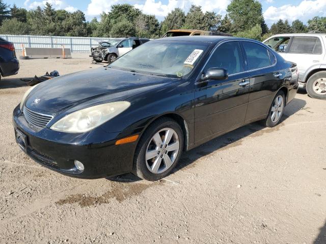 LEXUS ES 330 2005 with VIN JTHBA30G955129481 - Photo from auction