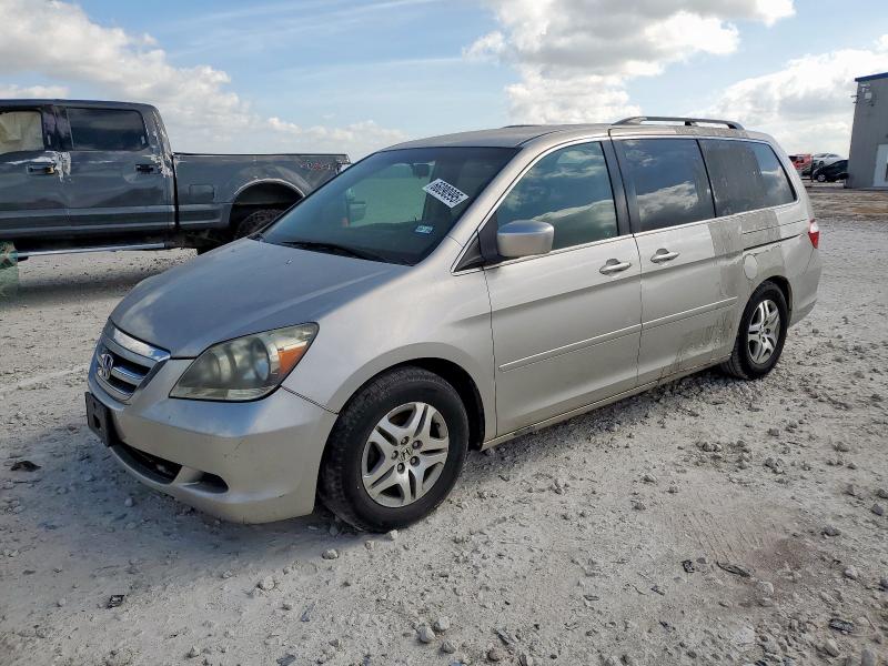 HONDA ODYSSEY EX 2005 with VIN 5FNRL38495B423921 - Photo from auction
