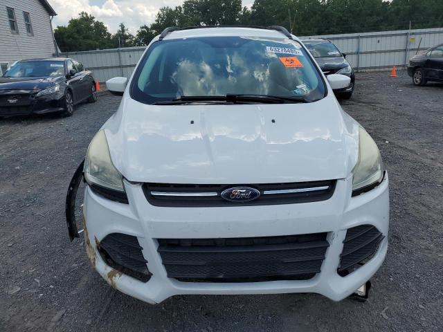 Photo 5 from auction – 2013 FORD ESCAPE SE with VIN 1FMCU9G94DUD06591