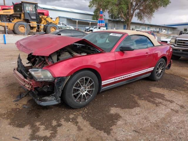FORD MUSTANG 2011 with VIN 1ZVBP8EM2B5126586 - Photo from auction
