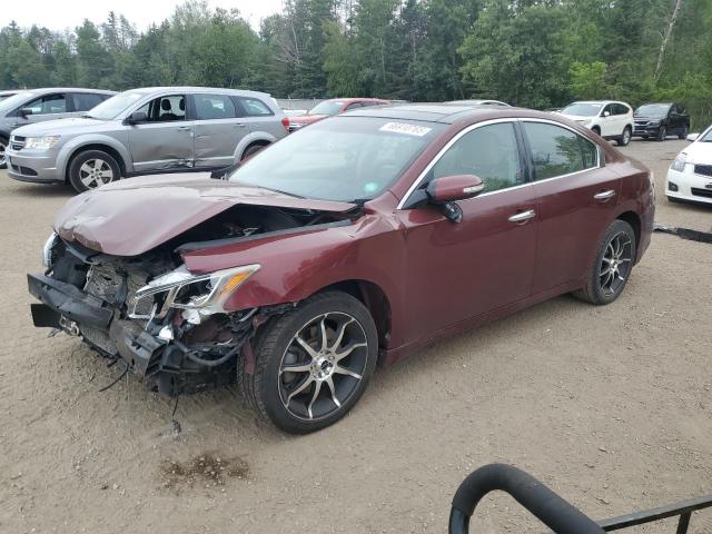 NISSAN MAXIMA S 2010 with VIN 1N4AA5AP1AC804789 - Photo from auction