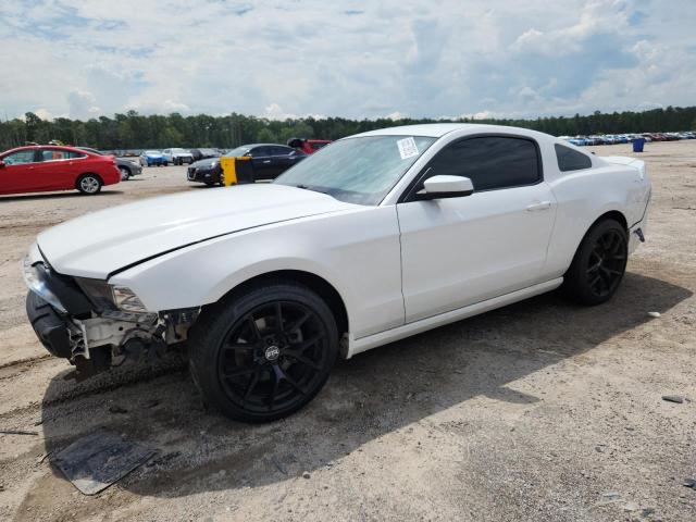 FORD MUSTANG 2013 with VIN 1ZVBP8AM6D5259196 - Photo from auction