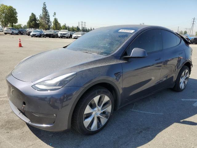 TESLA MODEL Y 2023 with VIN 7SAYGAEE3PF674067 - Photo from auction