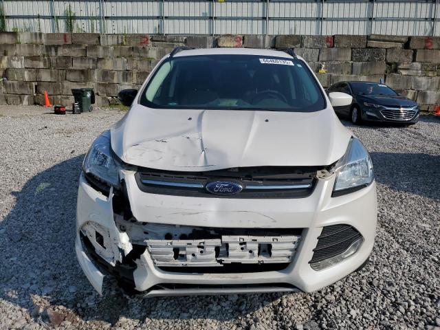Photo 5 from auction – 2014 FORD ESCAPE SE with VIN 1FMCU0GXXEUB42856