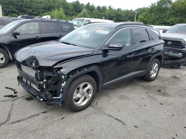 HYUNDAI TUCSON SEL 2024 with VIN 5NMJBCDE8RH393085 - Photo from auction