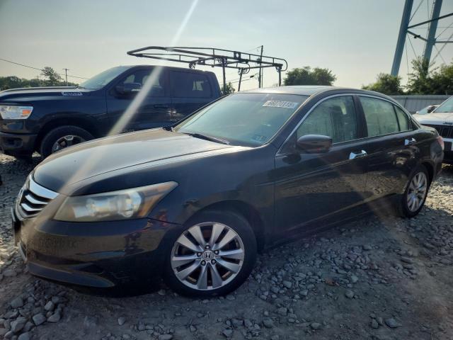 HONDA ACCORD EXL 2011 with VIN 1HGCP3F88BA025976 - Photo from auction