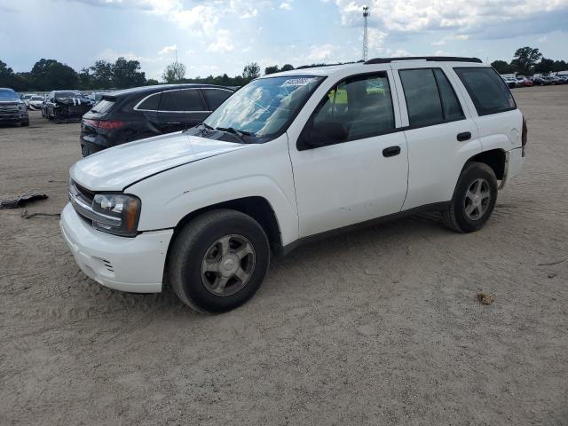 CHEVROLET TRAILBLAZE 2006 with VIN 1GNDT13S562156244 - Photo from auction