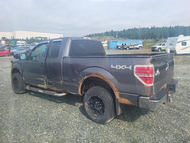 Фото 2 с аукциона – 2012 FORD F150 SUPER с VIN 1FTFX1EF1CFB04393