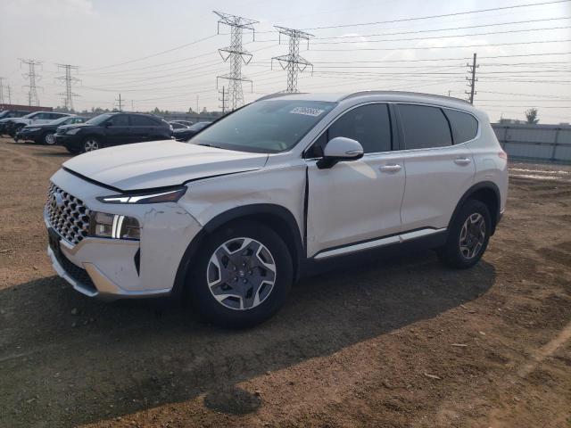 HYUNDAI SANTA FE B 2023 with VIN 5NMS2DA19PH020081 - Photo from auction