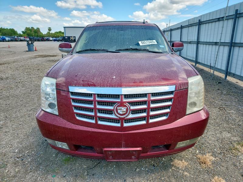 Photo 5 from auction – 2010 CADILLAC ESCALADE P with VIN 1GYUCCEF4AR110483