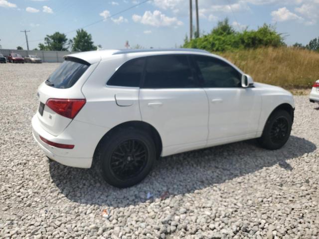 Photo 3 from auction – 2010 AUDI Q5 PREMIUM with VIN WA1LKAFP1AA047979
