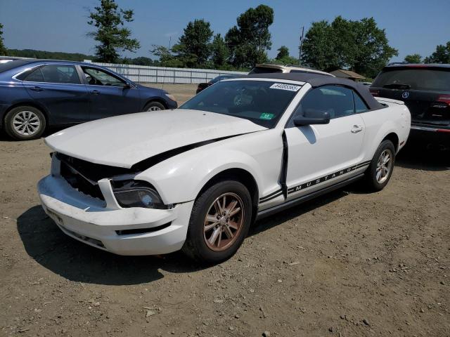 FORD MUSTANG 2008 with VIN 1ZVHT84N085149423 - Photo from auction