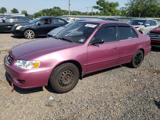 TOYOTA COROLLA CE 2001 with VIN 2T1BR12E21C413414 - Photo from auction