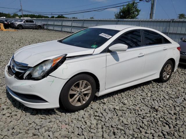 HYUNDAI SONATA GLS 2014 with VIN 5NPEB4AC0EH891093 - Photo from auction