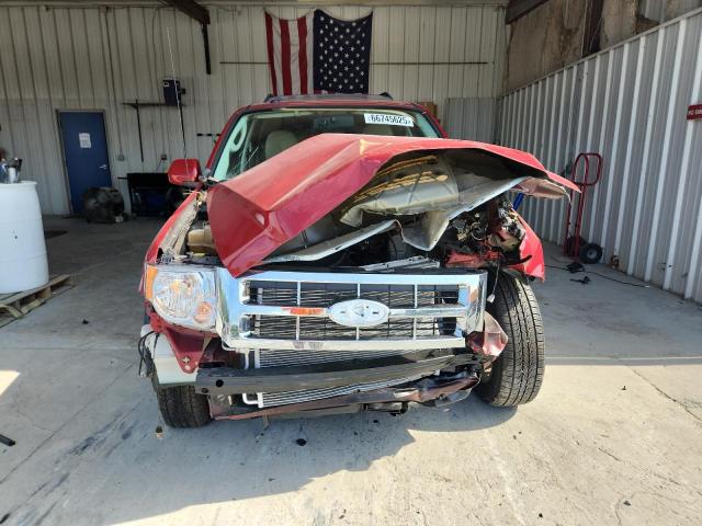 Photo 5 from auction – 2010 FORD ESCAPE LIM with VIN 1FMCU9EG5AKC99756