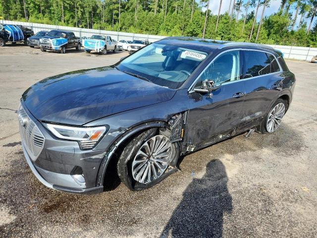 AUDI E-TRON PRE 2019 with VIN WA1VAAGE0KB025041 - Photo from auction