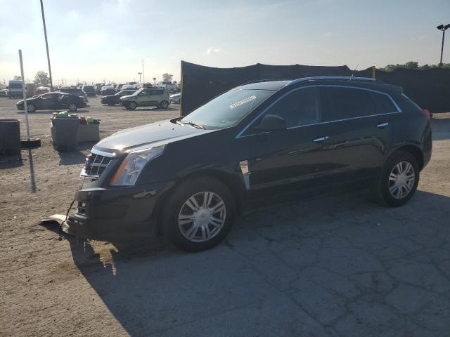 CADILLAC SRX LUXURY 2011 with VIN 3GYFNAEY3BS669238 - Photo from auction