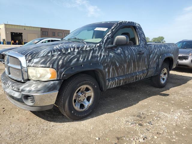 DODGE RAM 1500 2002 z numerem VIN 1D7HA16N22J125755 - Zdjęcie z aukcji