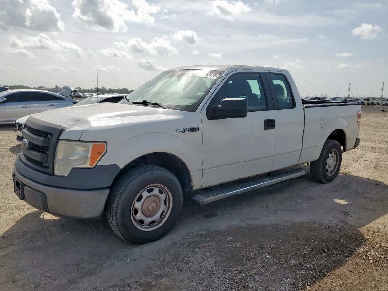 FORD F150 2013 with VIN 1FTEX1CM0DKG46493 - Photo from auction