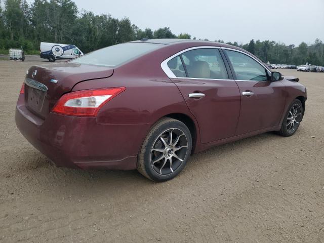 Photo 3 from auction – 2010 NISSAN MAXIMA S with VIN 1N4AA5AP1AC804789