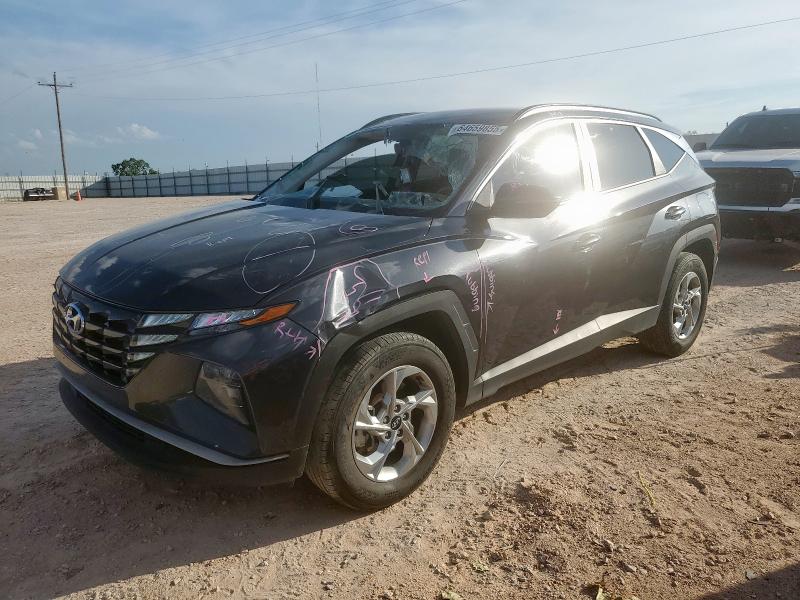 HYUNDAI TUCSON SEL 2023 with VIN 5NMJBCAE6PH212731 - Photo from auction