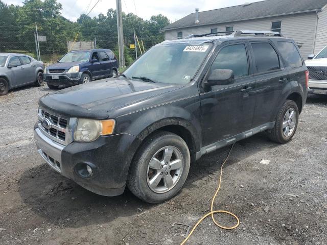FORD ESCAPE LIM 2010 with VIN 1FMCU0EG8AKA03088 - Photo from auction