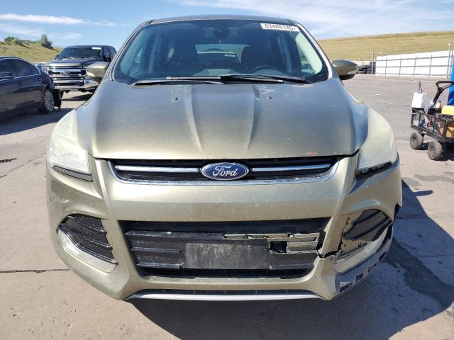 Photo 5 from auction – 2013 FORD ESCAPE SEL with VIN 1FMCU9H97DUD80313