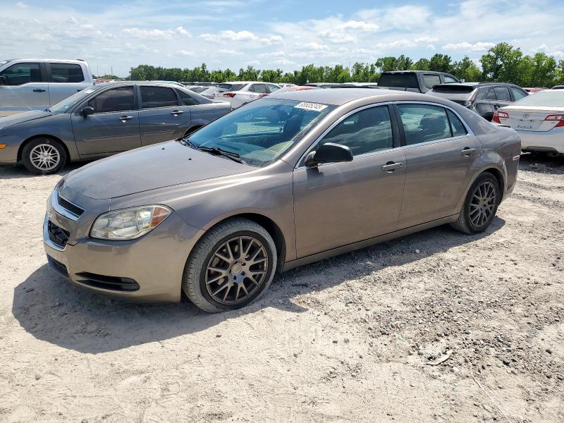 CHEVROLET MALIBU LS 2010 with VIN 1G1ZB5EB0AF266098 - Photo from auction